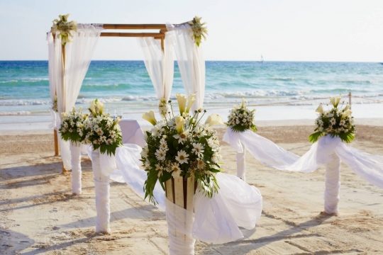 Weddings-129