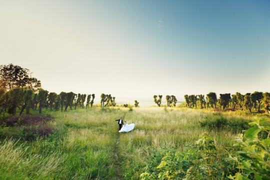 Weddings-278
