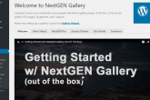 NGG_Overview