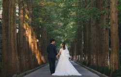 Redwood Wedding