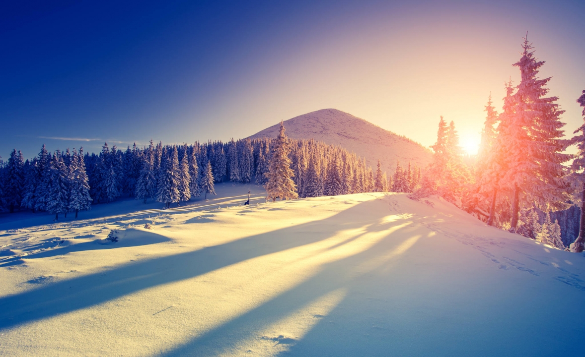 Snowscape