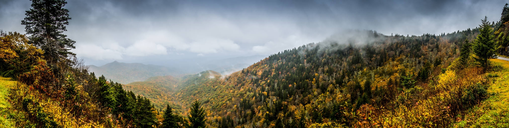 Fall Color