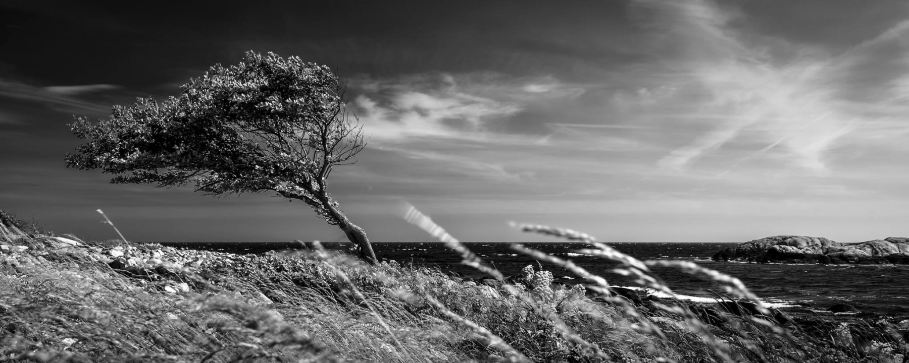 Wind