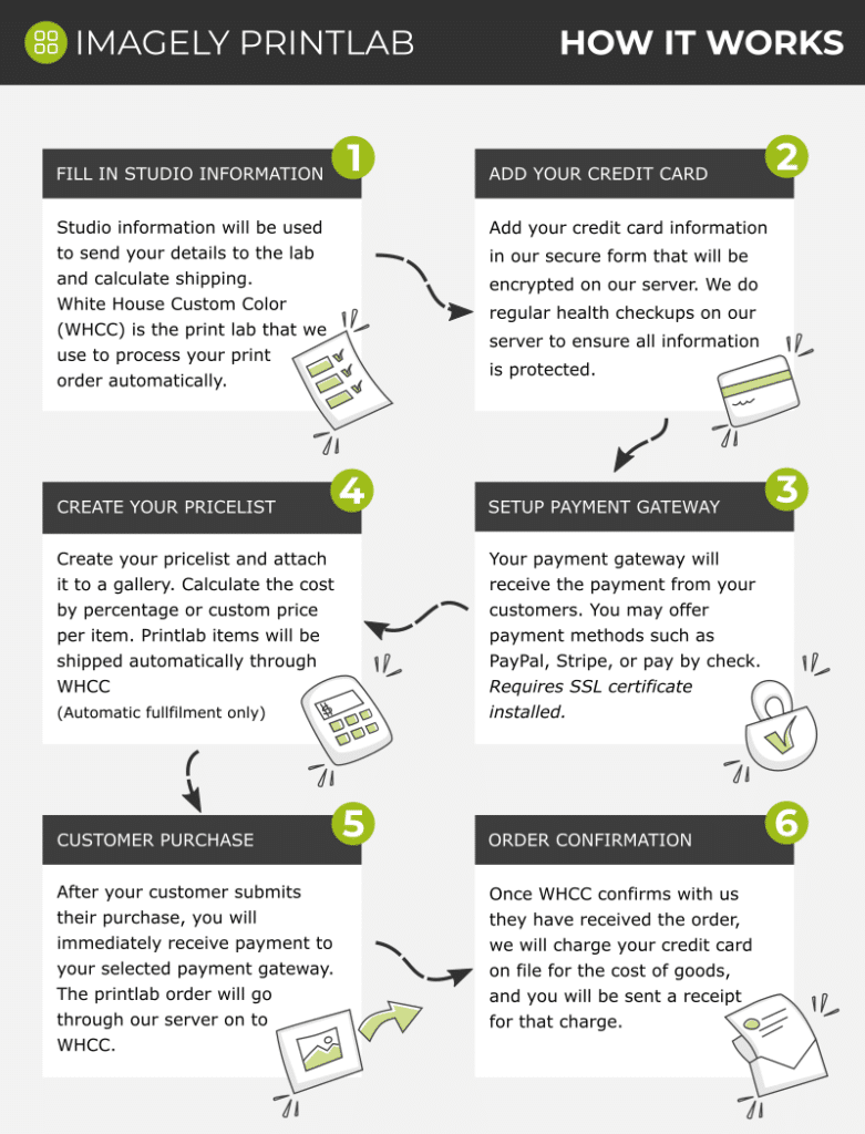 Infographic | Imagely Infographic