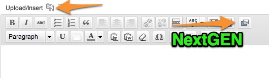 wordpress-post-nextgen