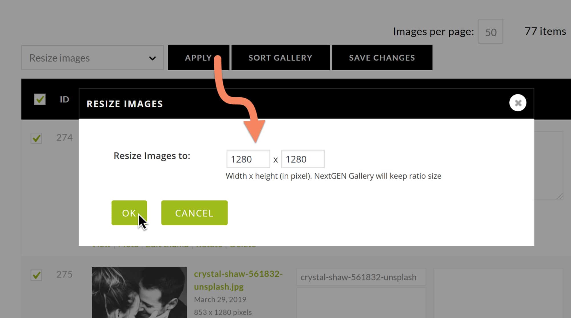 ManageGalleries_BulkAction_ResizeOK | Imagely