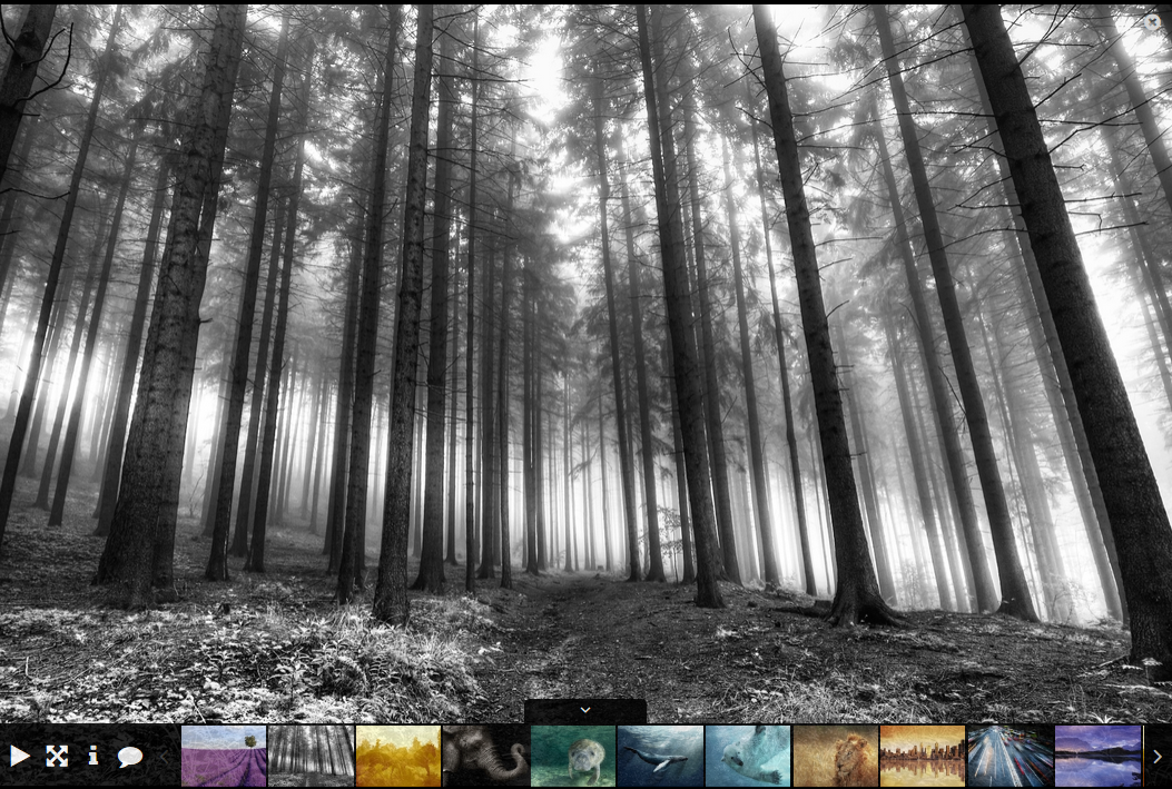 Single thumbnail lightbox