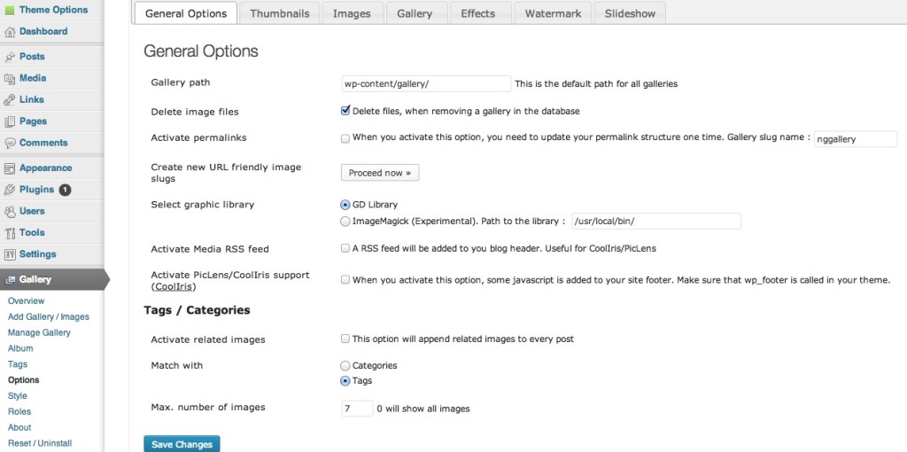 Original Options Panel