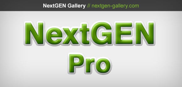 Add More Punch To Your Galleries With NextGEN Pro