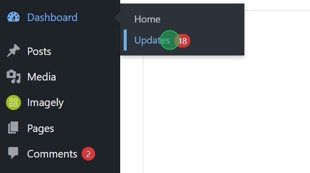 wp updates | Imagely