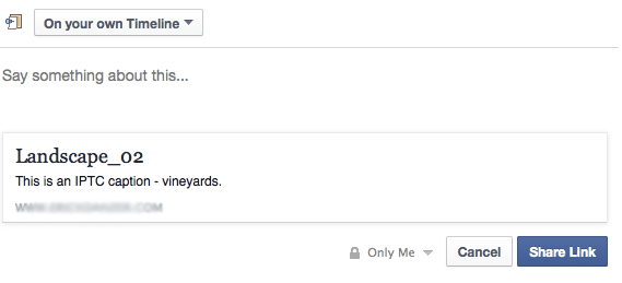 facebook-preview | Imagely What To Do About Facebook's Share Preview Not Showing Thumbnail