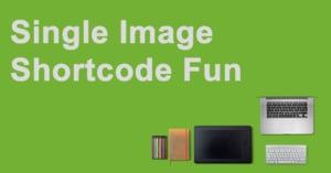 single-image-shortcode