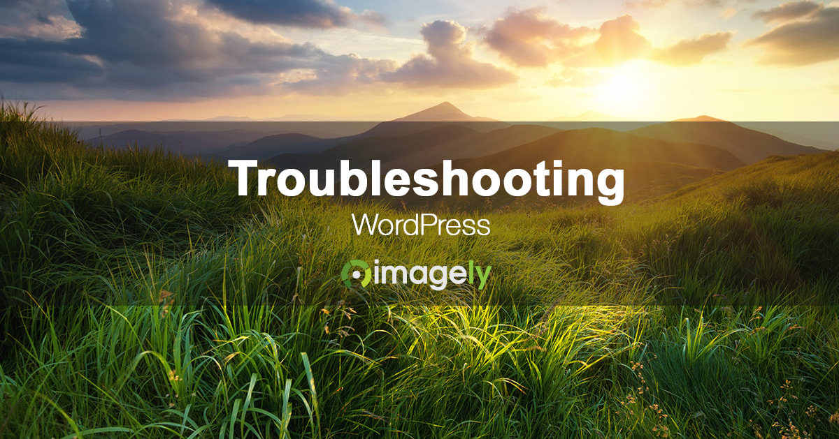 troubleshooting wordpress