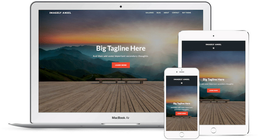 Ansel - WordPress Photography Theme