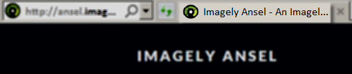 ansel_customize_icon
