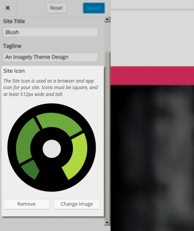blush_Customize_SiteIdentity_icon