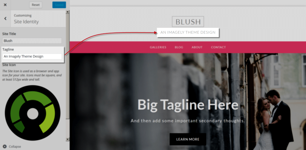 blush_Customize_SiteIdentity_tagline