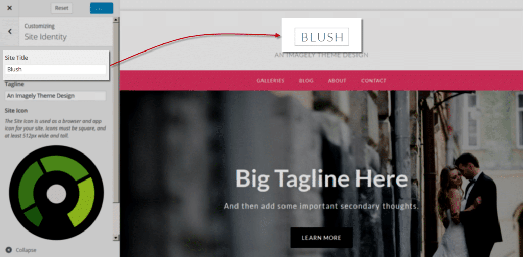 blush_Customize_SiteIdentity_title