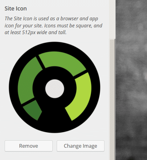 rebel_siteidentity4