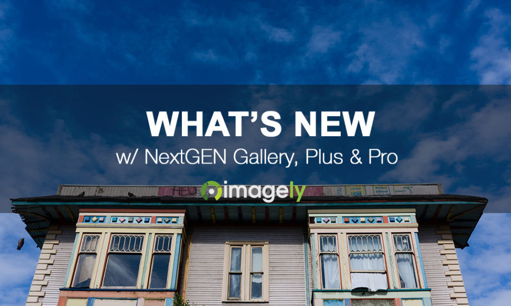 NextGEN Plus 1.3.31 Now Available