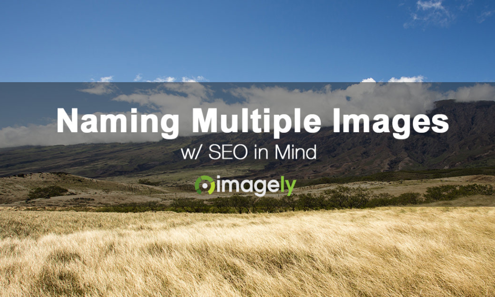 How To Name Files When Including A Lot Of Images In A Post or Page
