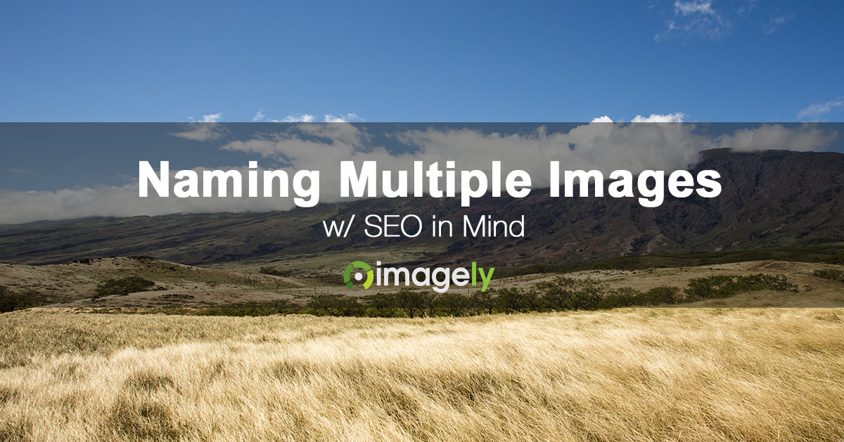 How To Name Files When Including A Lot Of Images In A Post or Page
