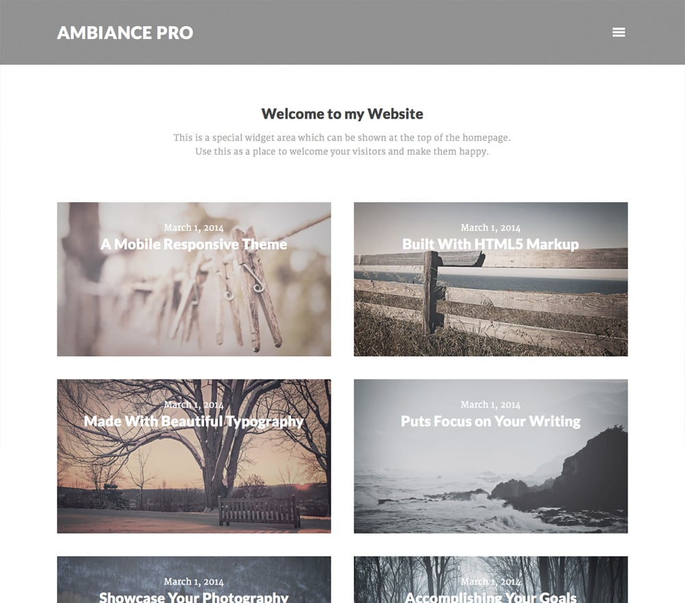 ambiance-pro