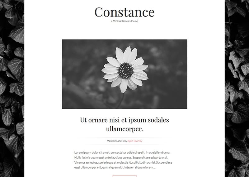 constance-minimal-genesis-theme