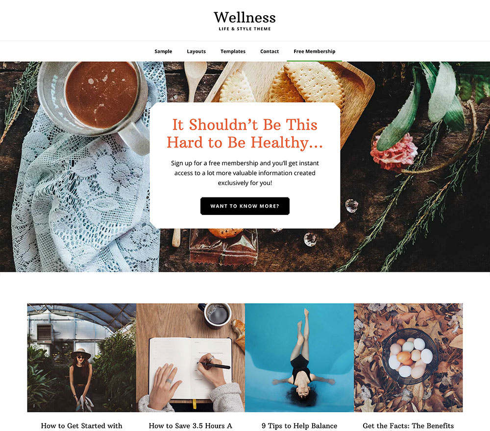 wellness-pro