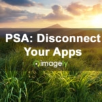 PSA: Disconnect Your App Connections For Security