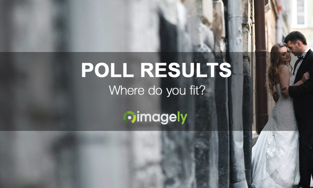 Results from our WordPress Plugins Poll