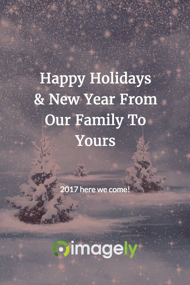 Happy Holidays & New Year From Our Family To Yours