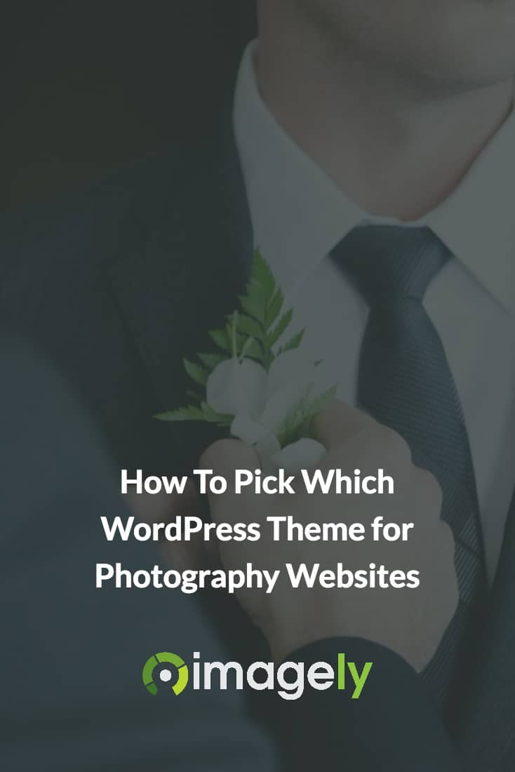 How To Pick Which WordPress Theme for Photography Websites