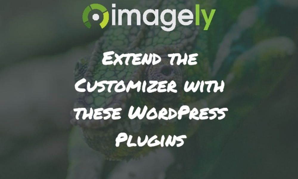 Extend the Customizer with these WordPress Plugins