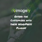 Extend the Customizer with these WordPress Plugins