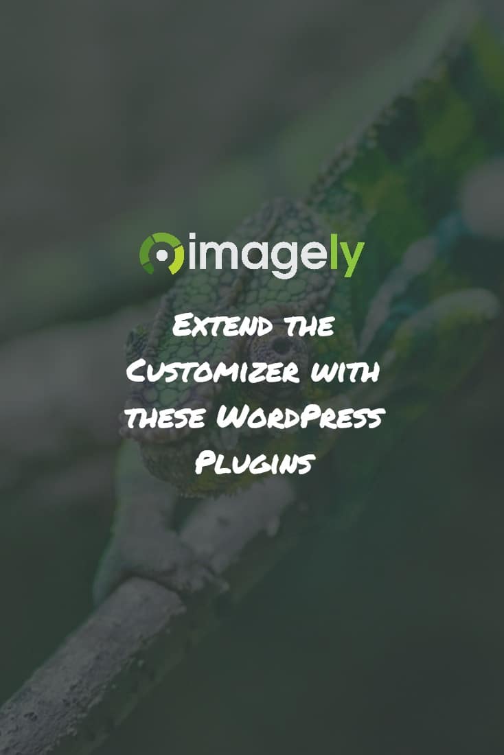 Extend the Customizer with these WordPress Plugins