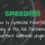 How to Optimize NextGEN Gallery & Pro for Performance (without additional plugins)