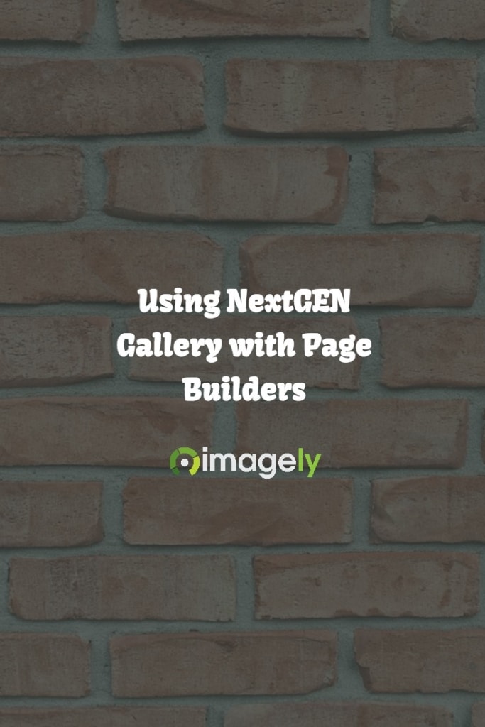Using NextGEN Gallery with Page Builders