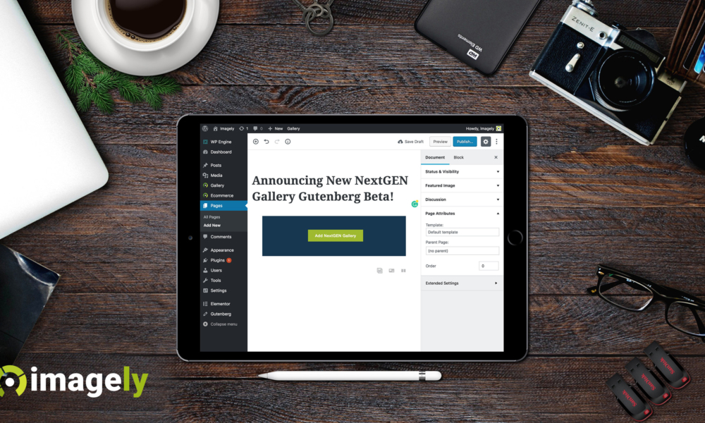 Announcing New NextGEN Gallery Gutenberg Beta!