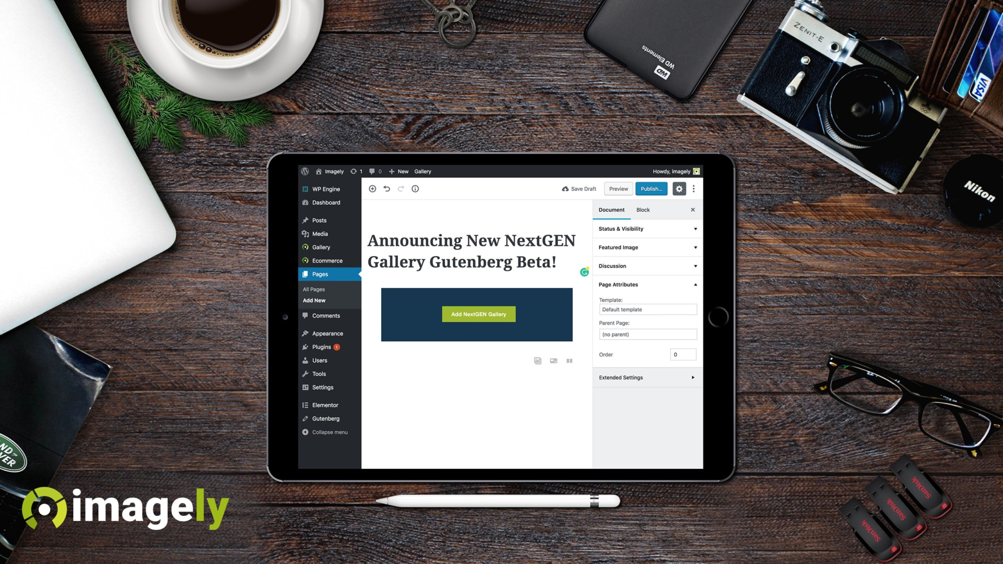 Announcing New NextGEN Gallery Gutenberg Beta!