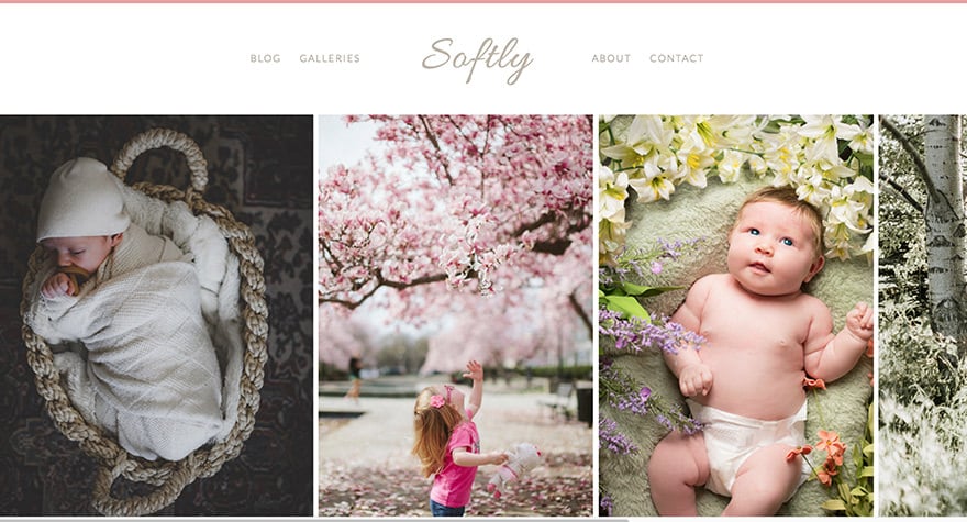 softly-theme