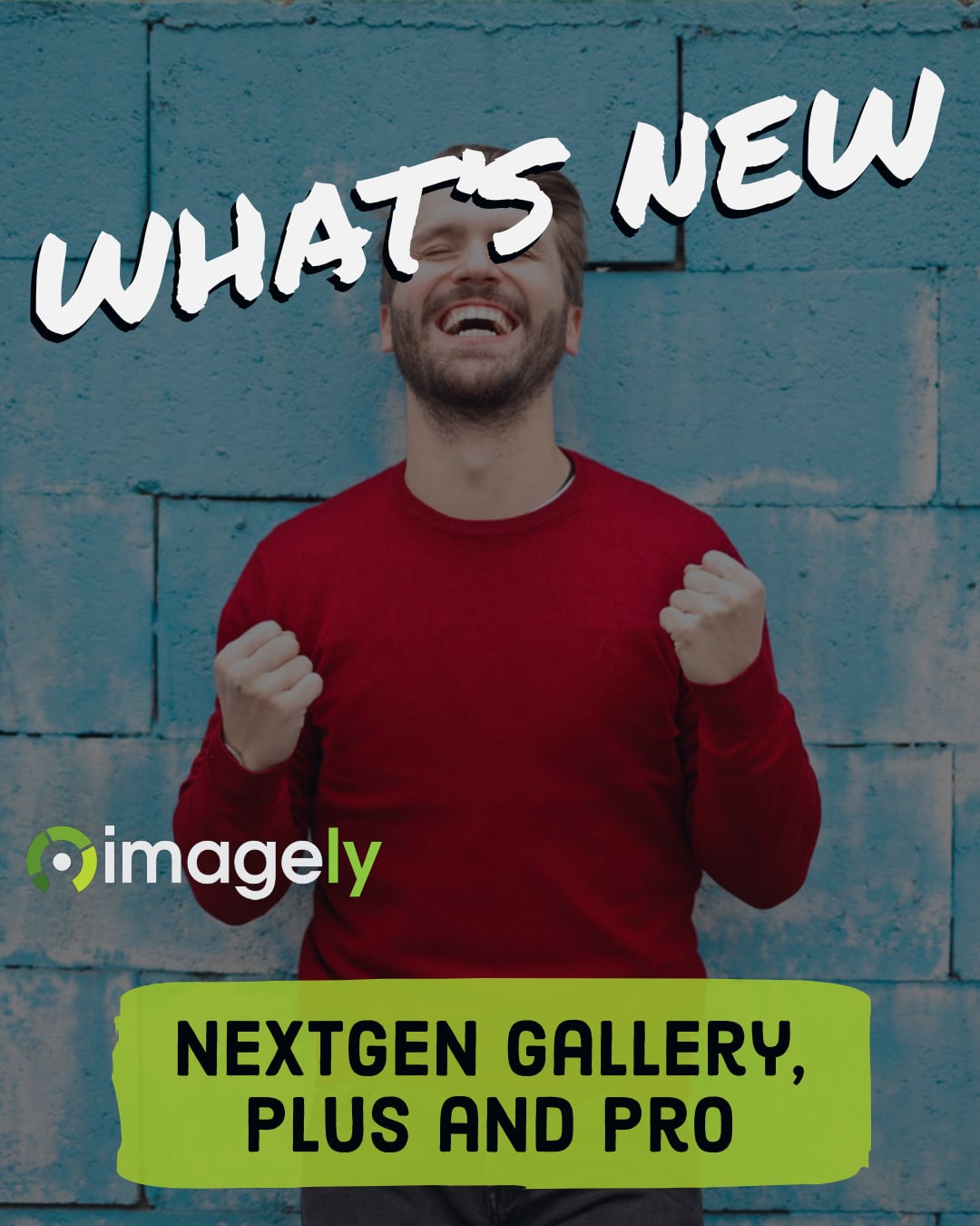 What's new with NextGEN Gallery, Plus and Pro