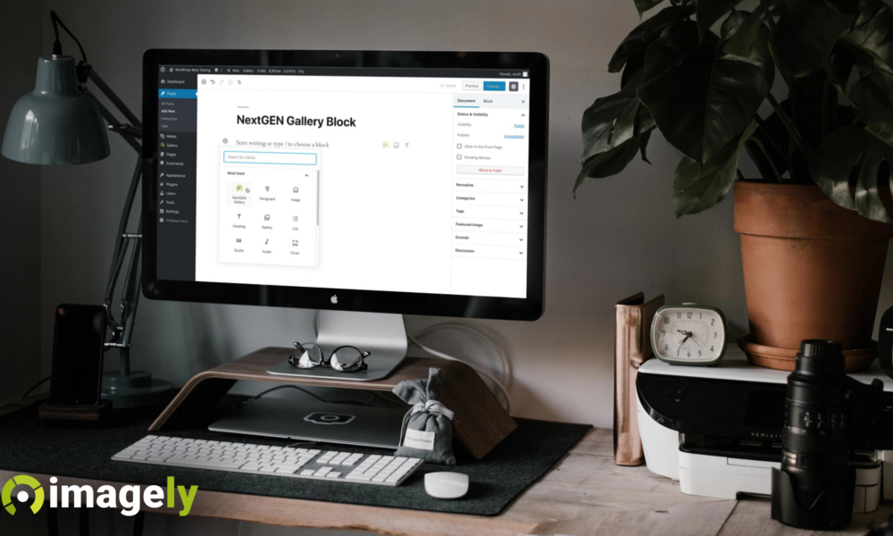 Introduction to the NextGEN Gallery Block for WordPress 5.0