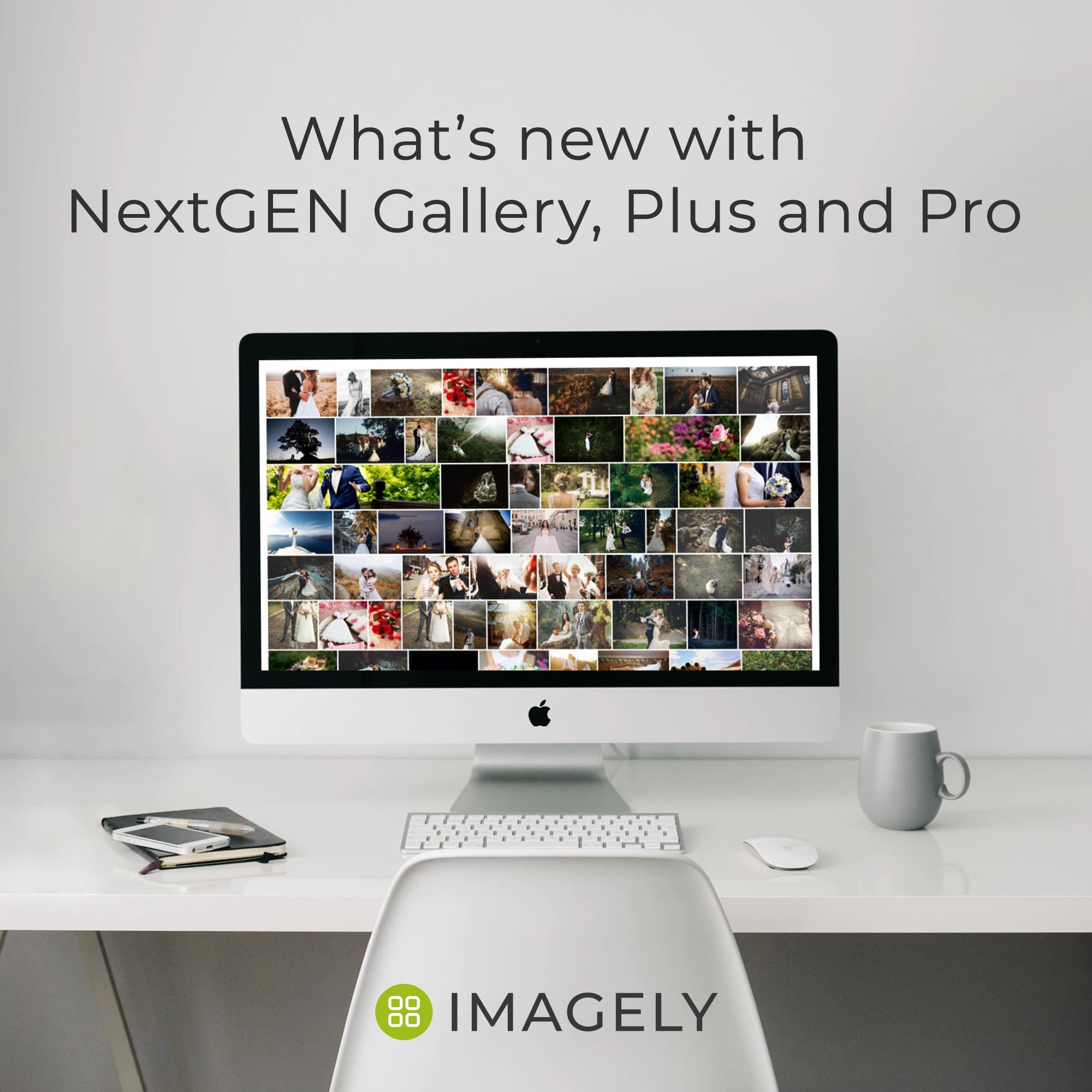 whats-new-nextgen-gallery