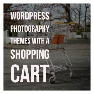 WordPress Photography Themes with a Shopping Cart
