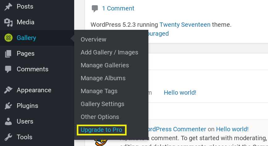 You will also need to purchase and activate a NextGEN Pro License. Existing users can upgrade through their WordPress dashboards by going to Gallery > Upgrade to Pro:
