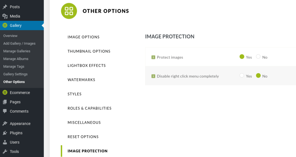 A popular and effective method of deterring internet thieves is disabling the ability to right-click on images. You can turn on Image Protection in NextGEN Pro by going to Other Options > Image Protection:
