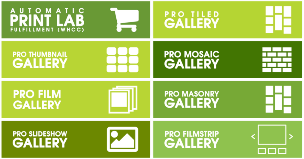 NextGEN Pro is an extension for our flagship plugin, NextGEN Gallery: