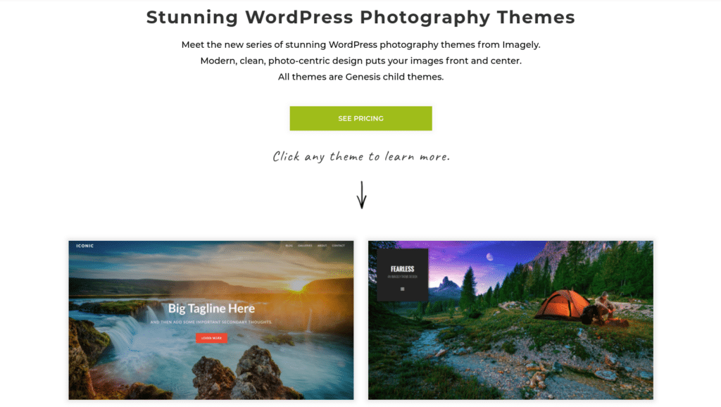 Instead, it's wise to choose from themes that are created specifically for photographers, such as our Imagely WordPress Photography Themes: