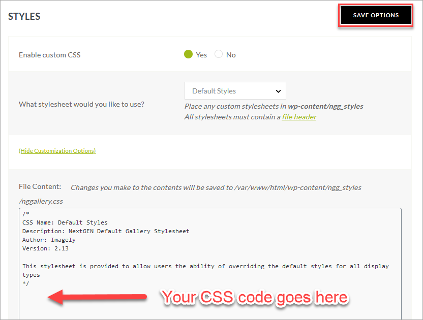 Insert your CSS code here